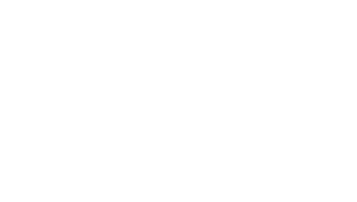 cannes next
